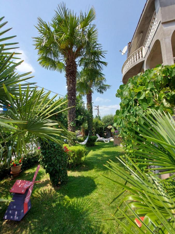 Apartman Palma Marinici  Dış mekan fotoğraf