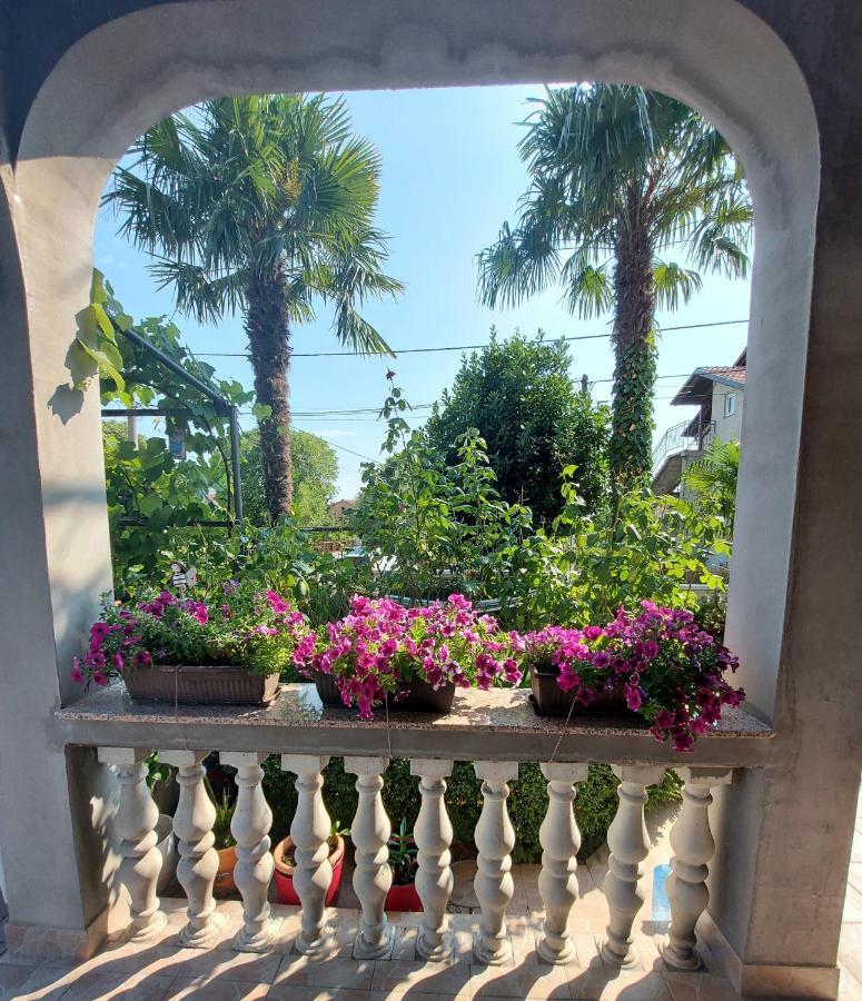 Apartman Palma Marinici  Dış mekan fotoğraf