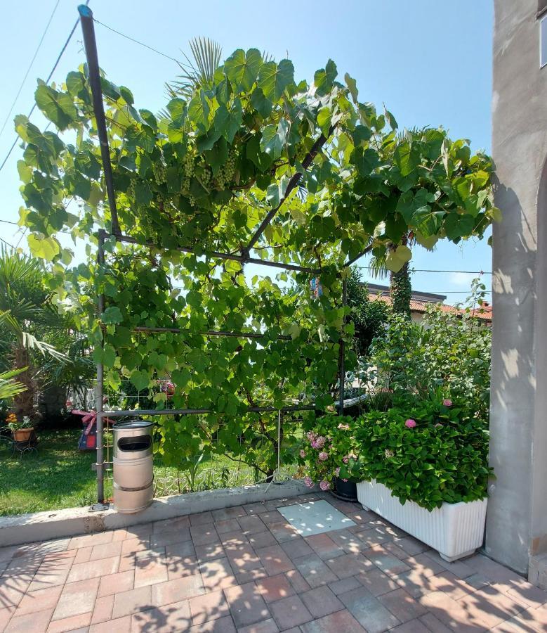 Apartman Palma Marinici  Dış mekan fotoğraf