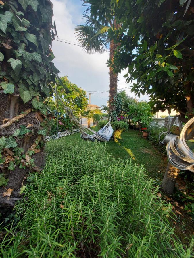 Apartman Palma Marinici  Dış mekan fotoğraf